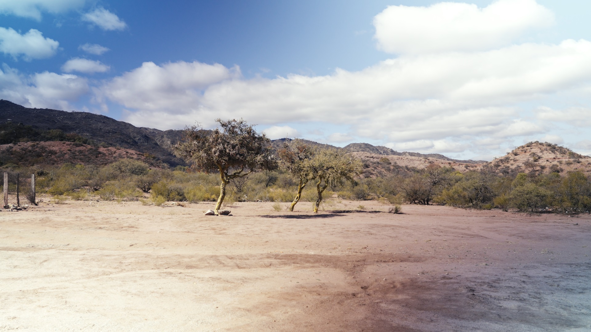 Fotografía 3 de Federico Strifezzo