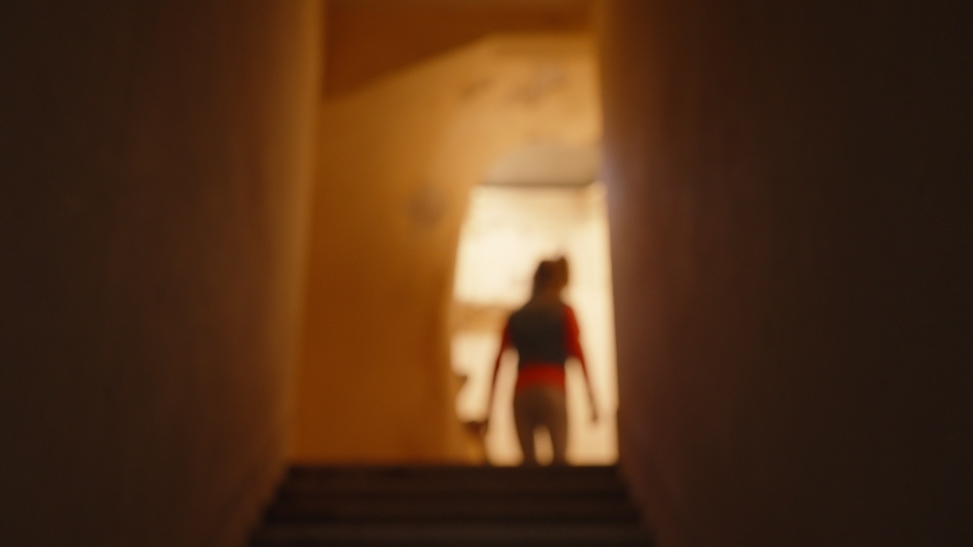 Fotografía 4 de Federico Strifezzo